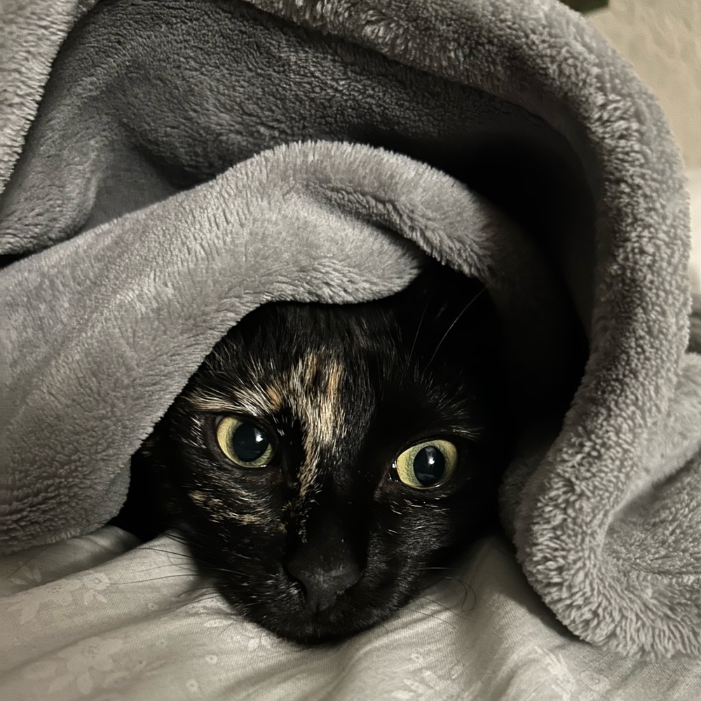 Meet your Posher, Nab